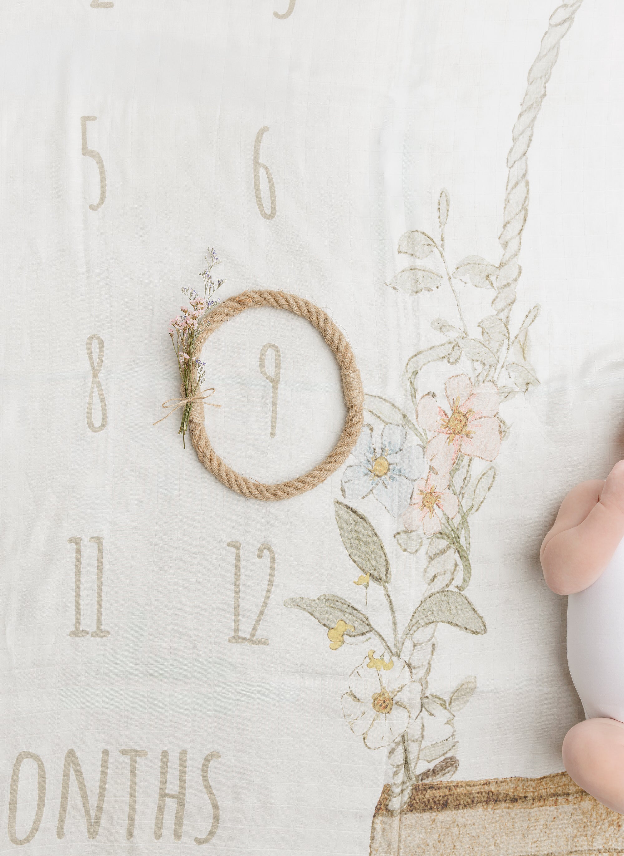 Milestone Baby Blanket